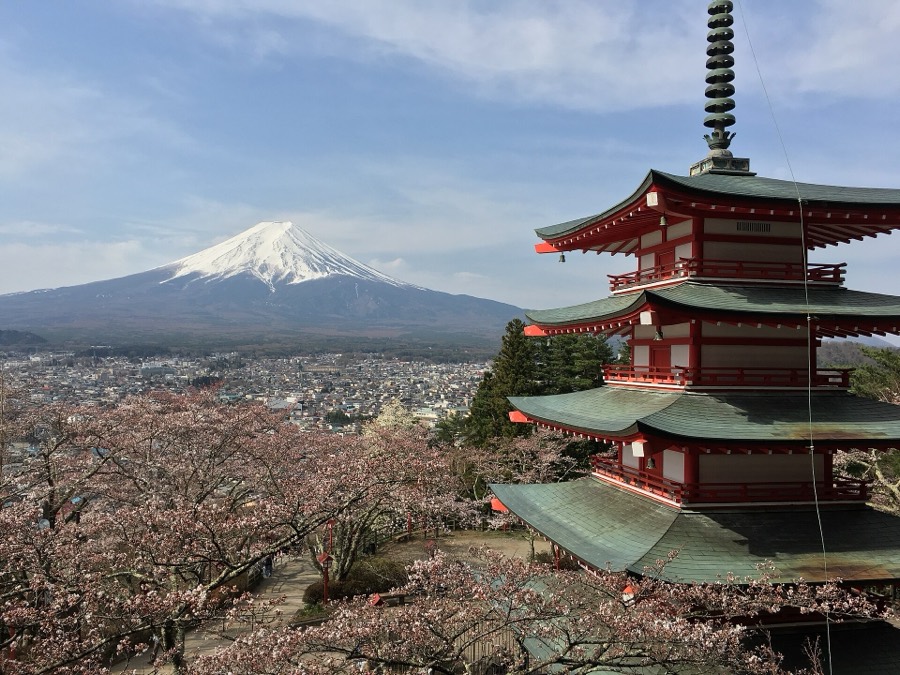 Staying connected in Japan with a travel eSIM
