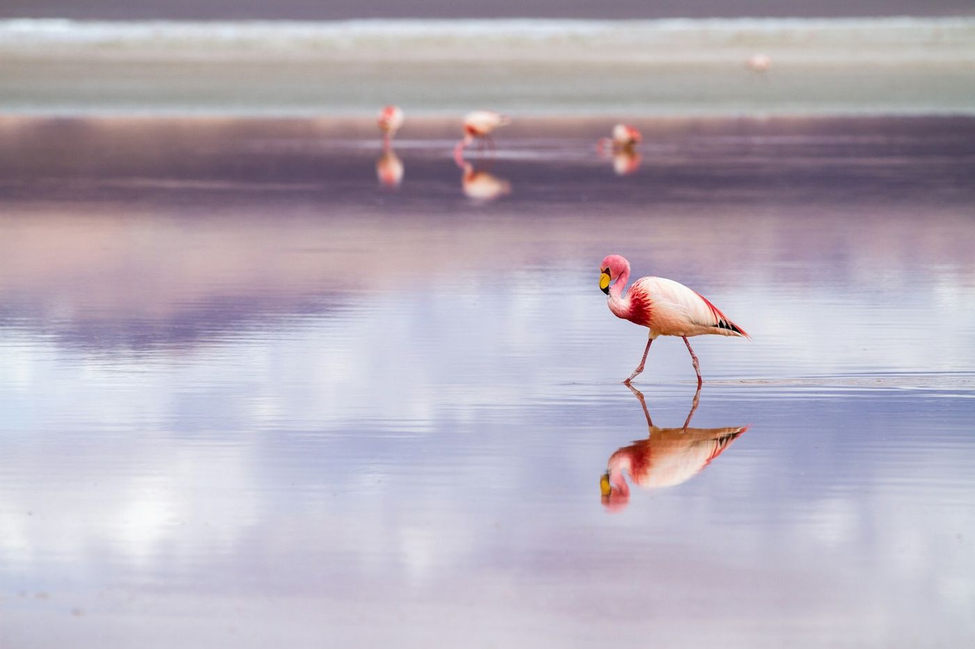Bolivia scenery