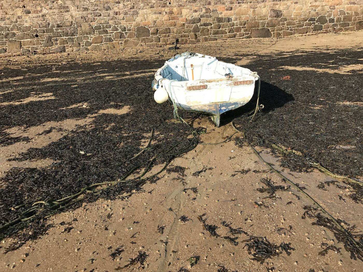 Jersey scenery