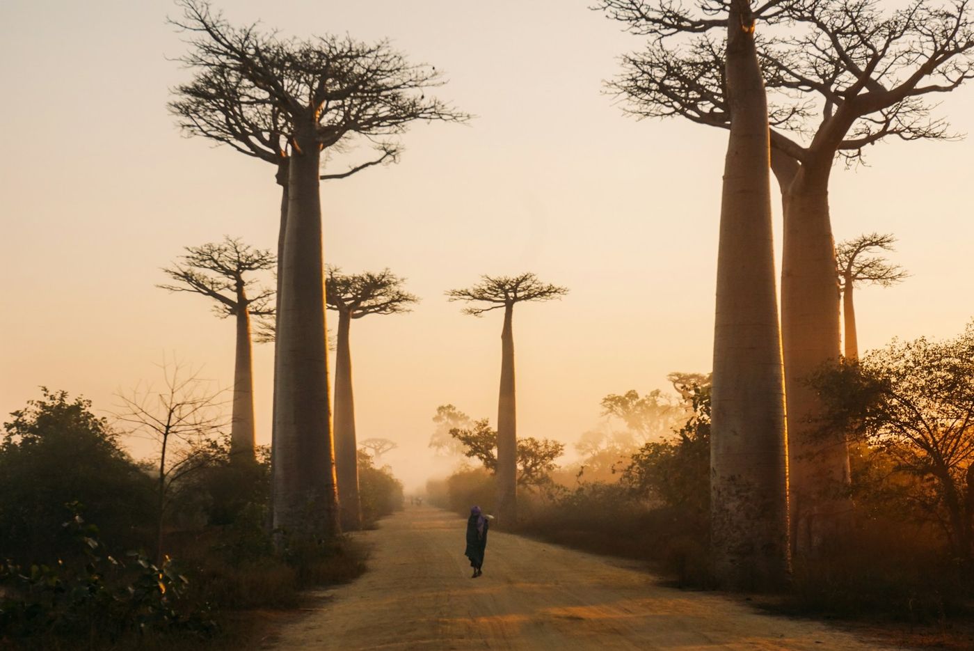 Madagascar scenery