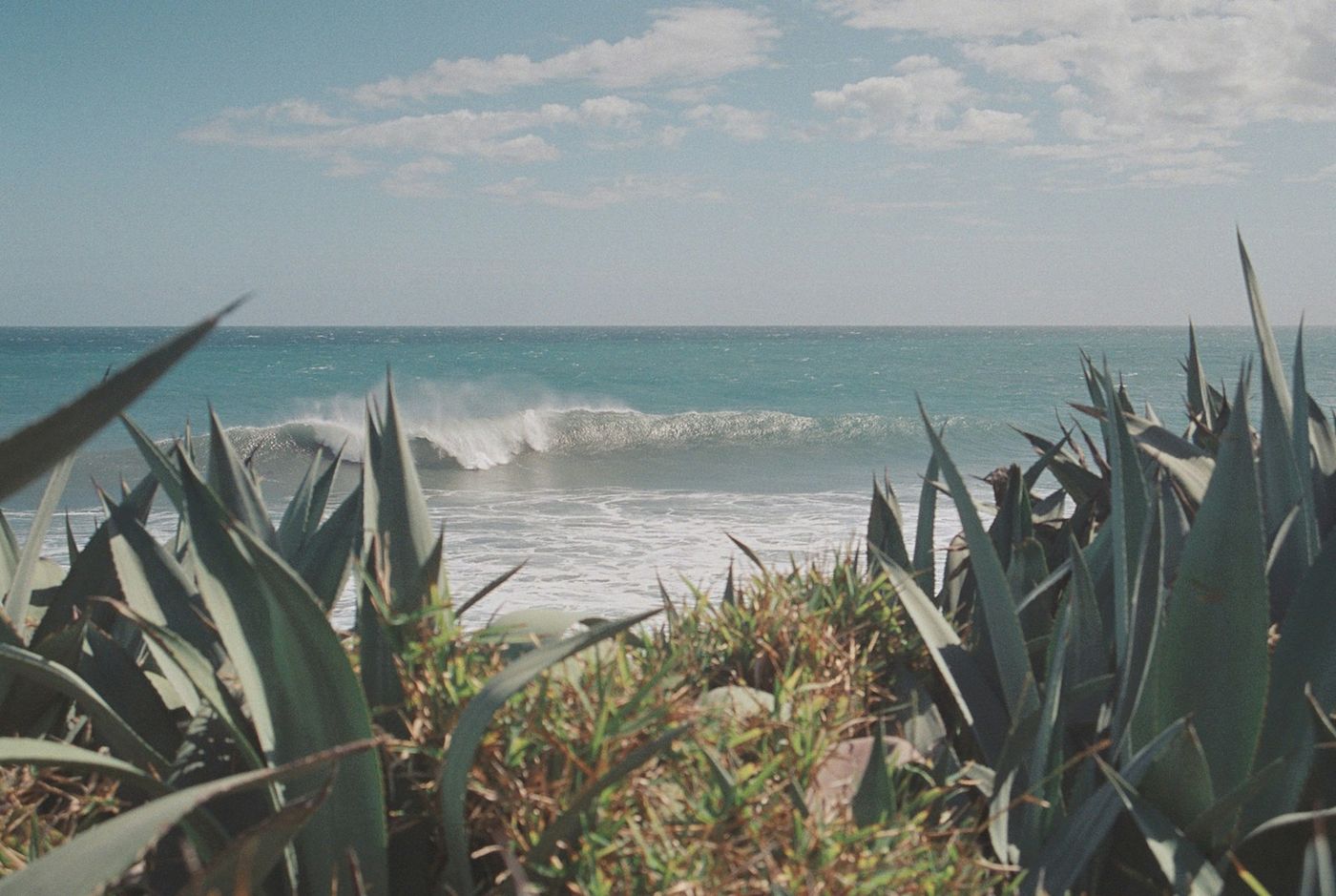 Reunion scenery